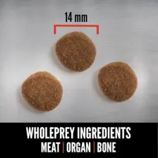 Orijen Original Tahılsız Yetişkin Köpek Maması 2 kg