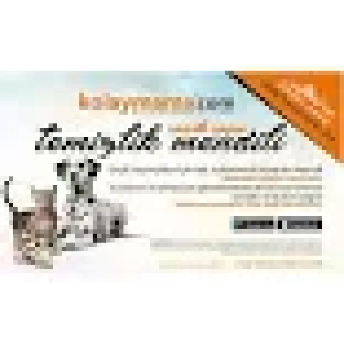 Spectrum Derm 26 Hypo-Allergenic Balıklı Yetişkin Köpek Maması 12kg