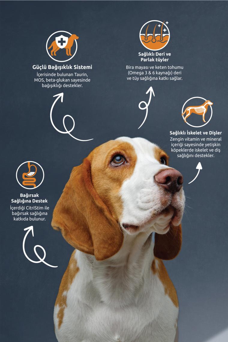 Reflex Adult Dog Kuzu Etli & Pirinçli & Sebzeli Yetişkin Köpek Maması 15 Kg
