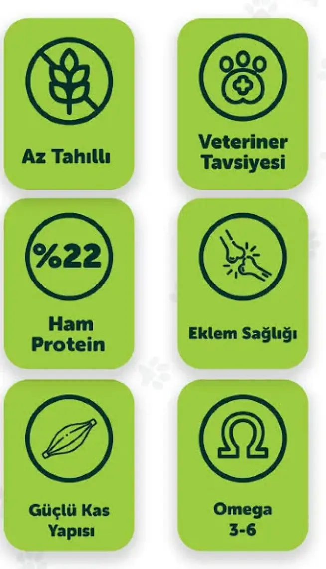 Pawgo Standard Superiority 15 Kg | Kuzu Etli | Yetişkin Köpek Maması