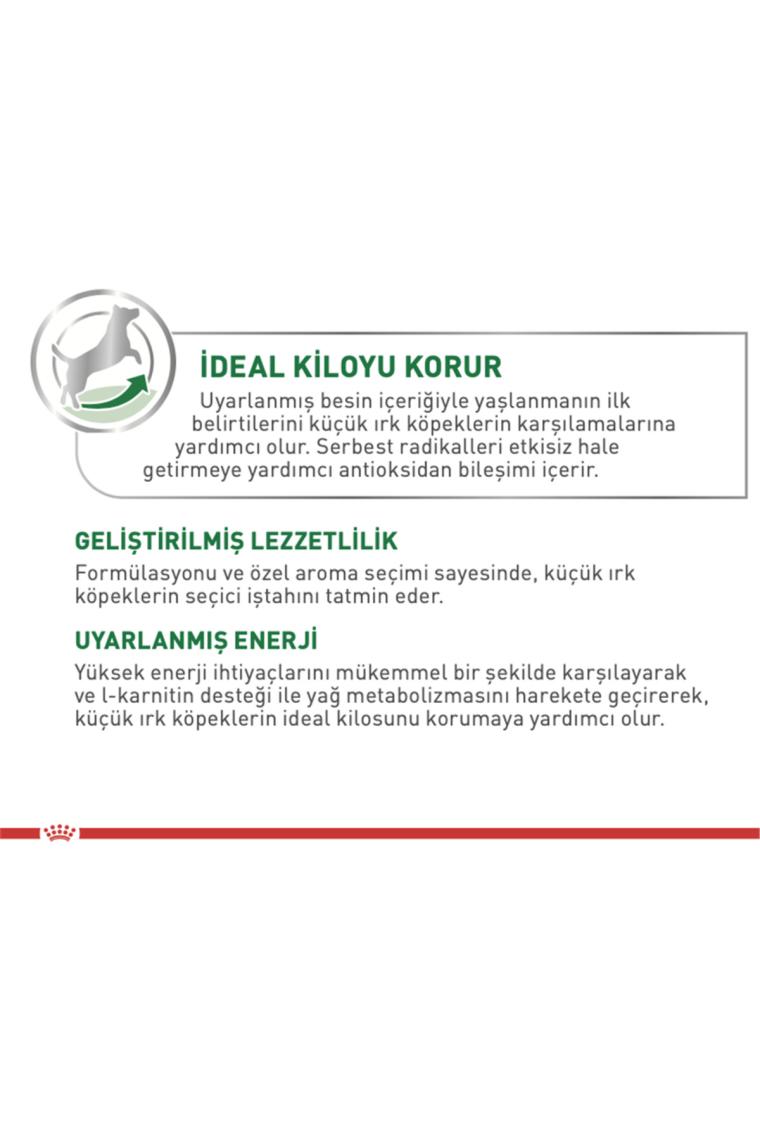 Royal Canin Mini Adult Yetişkin Köpek Maması 4 kg