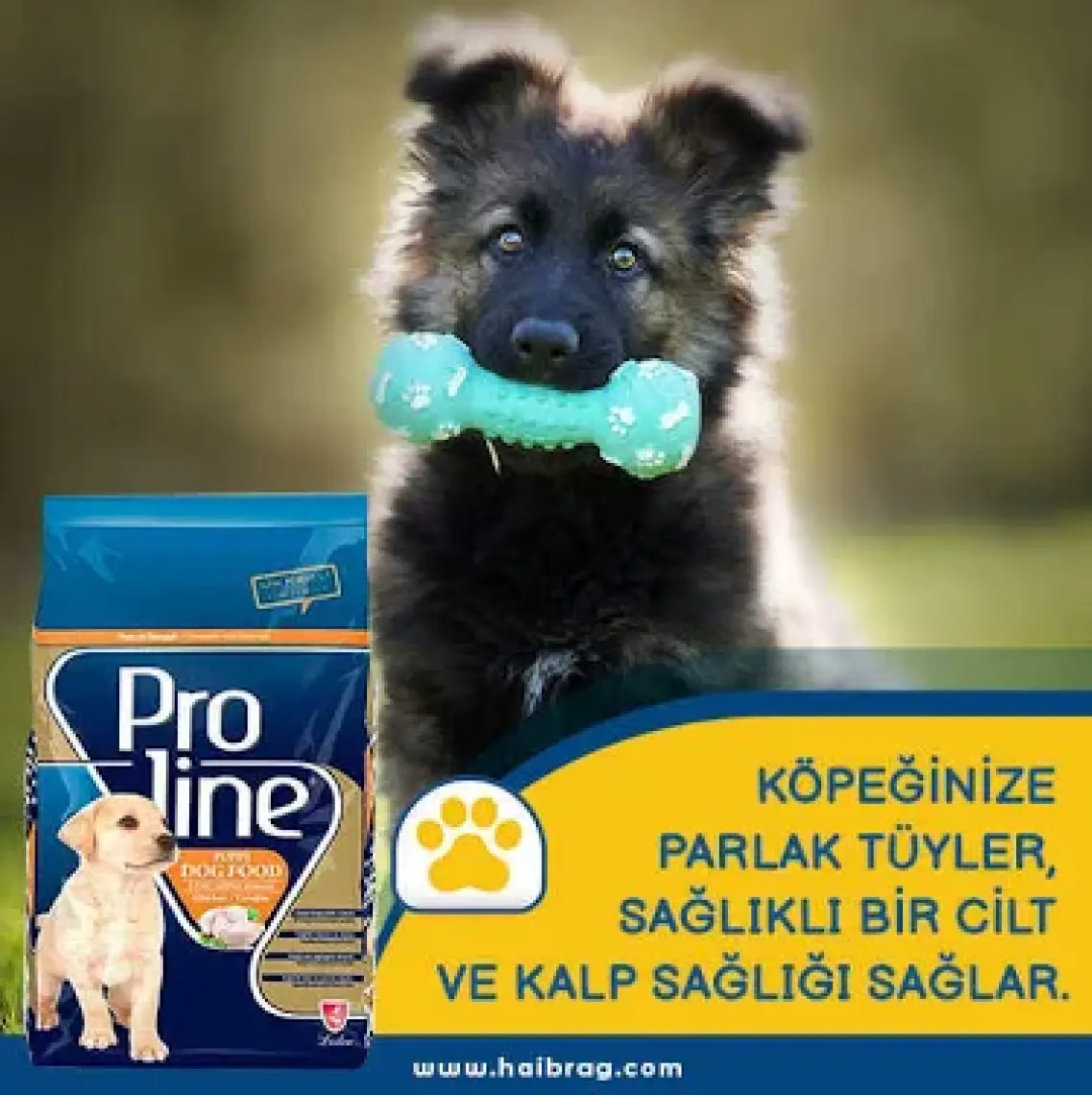 Proline Puppy Tavuklu Yavru Köpek Maması 2.2 Kg