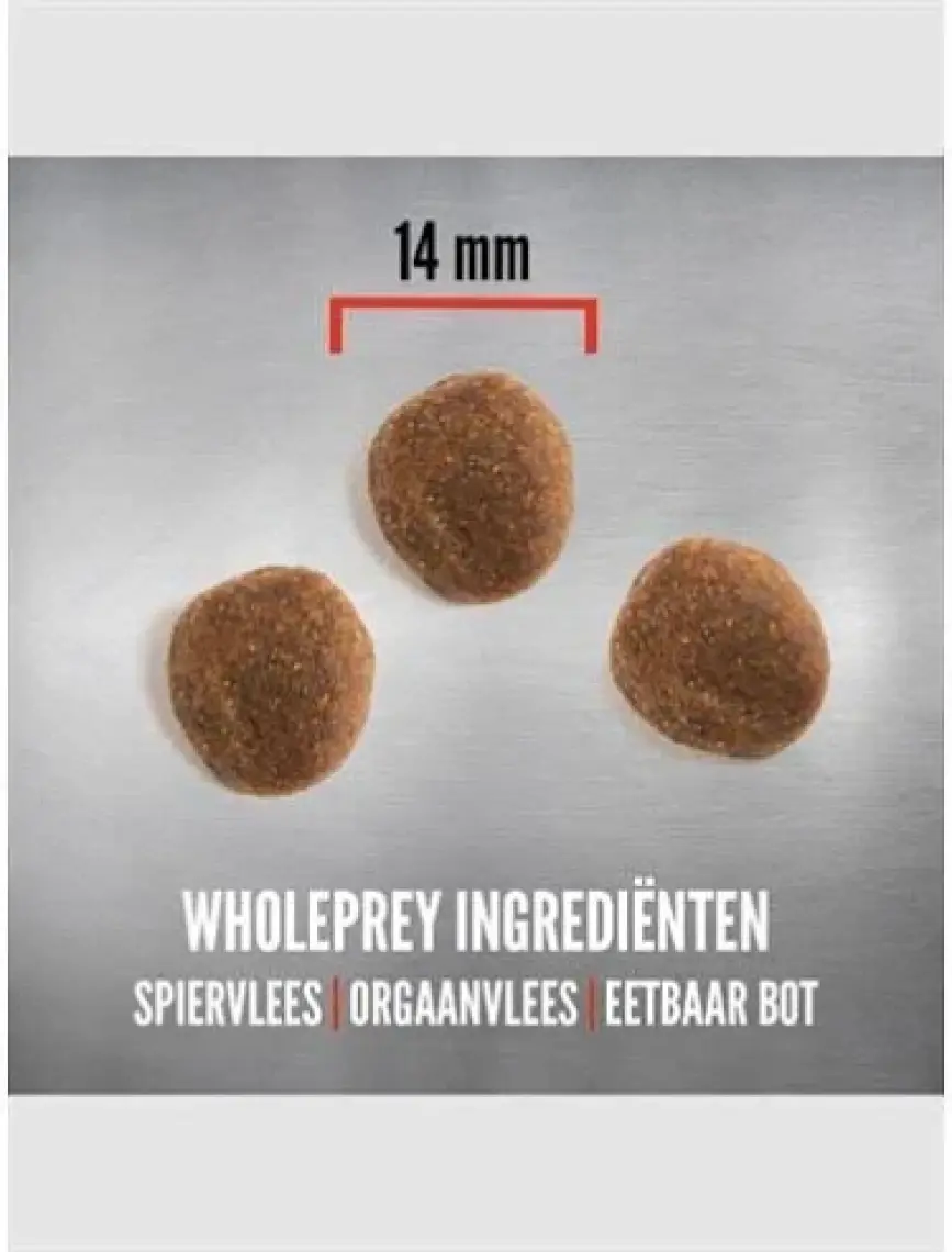 Orijen 6 Fish Köpek Maması 11,4 Kg