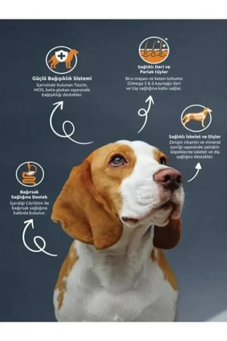 Reflex Adult Dog Kuzu Etli & Pirinçli Yetişkin Köpek Maması 15 Kg