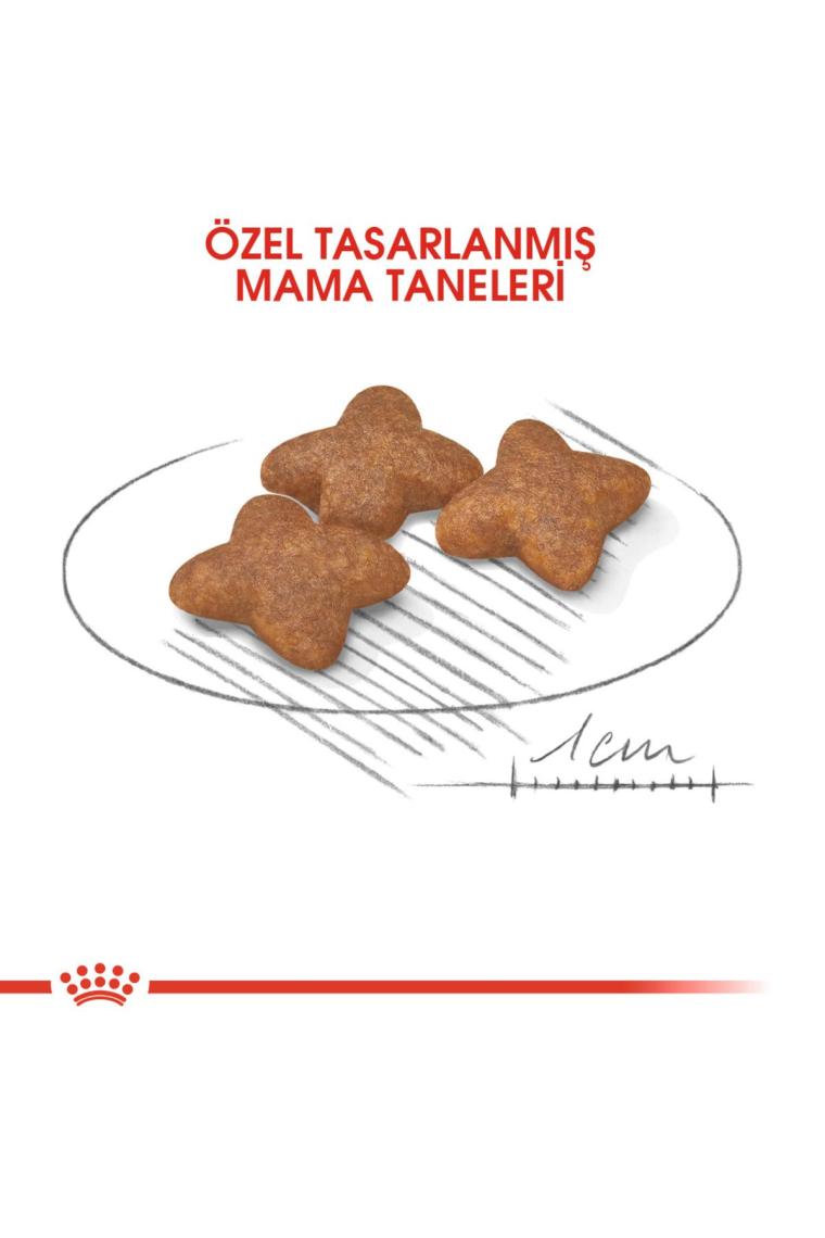 Royal Canin Mini Adult Köpek Maması 2 kg x 2 Adet