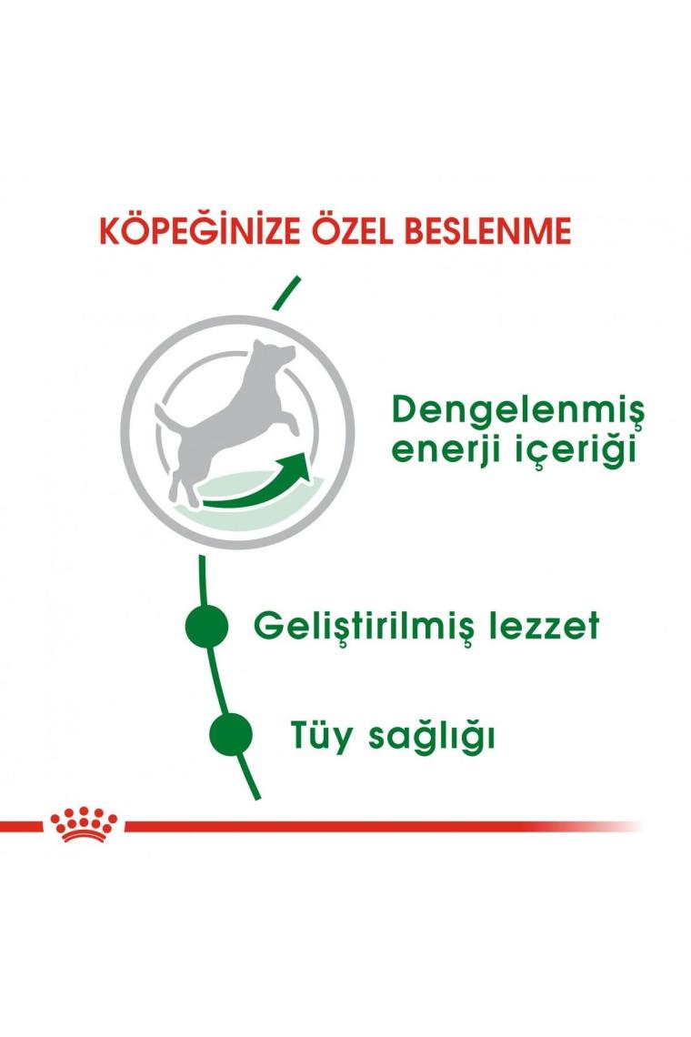 Royal Canin Mini Adult Köpek Maması 2 kg x 2 Adet