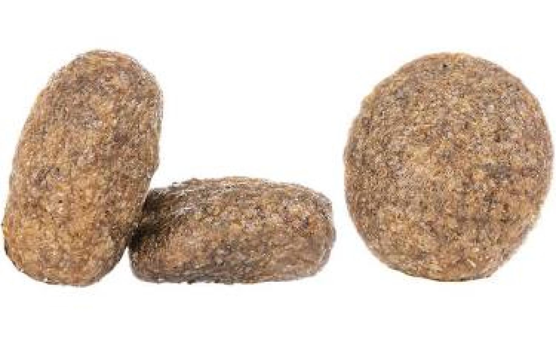 Happy Dog Mini Africa Deve Kuşu Etli ve Patatesli Küçük Irk Yetişkin Köpek Maması 4 kg
