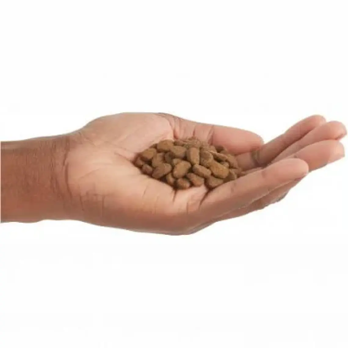 Fit & Trim Tahılsız Light Köpek Maması Tüm Irk Ve Yaşam Evreleri 11,4 Kg