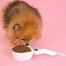 Nature's Protection Tahılsız %80 Hayvansal Proteinli Somonlu Küçük Irk Kızıl Köpek Maması 1.5 kg