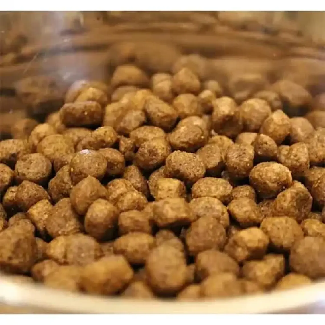 Acana Classics Wild Coast Köpek Maması  2 kg