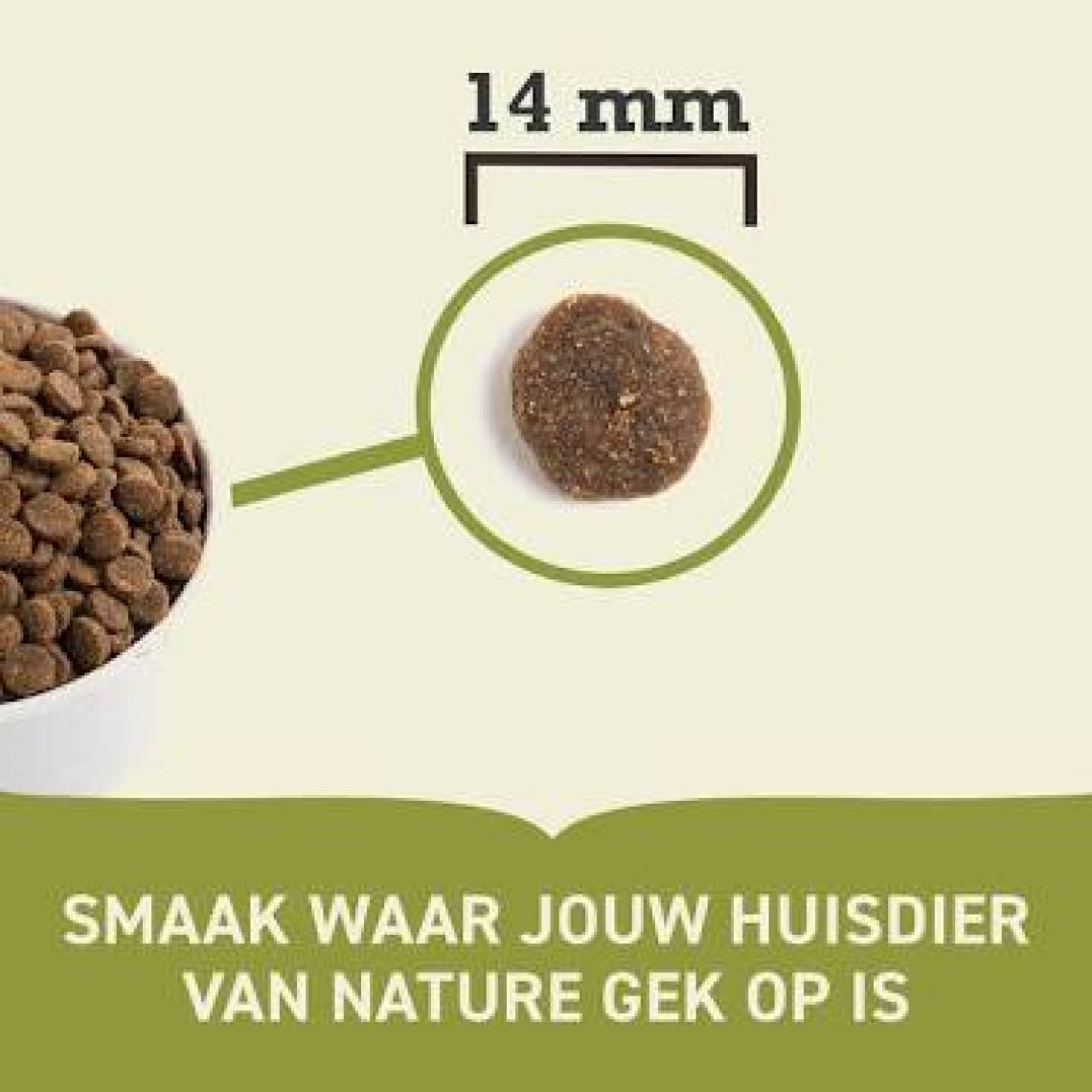 Acana Singless Grass-Fed Kuzulu Köpek Maması 6 kg