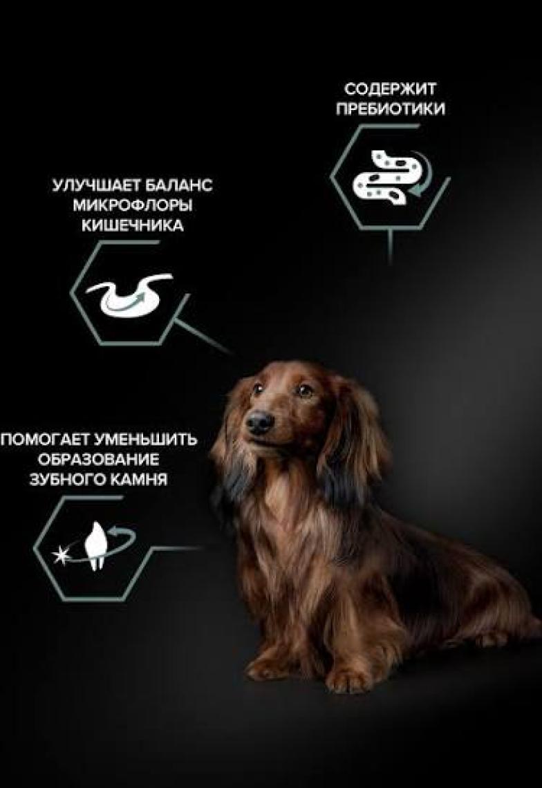 Pro Plan Small&Mini Adult Kuzu Etli Köpek Maması - 3 Kg