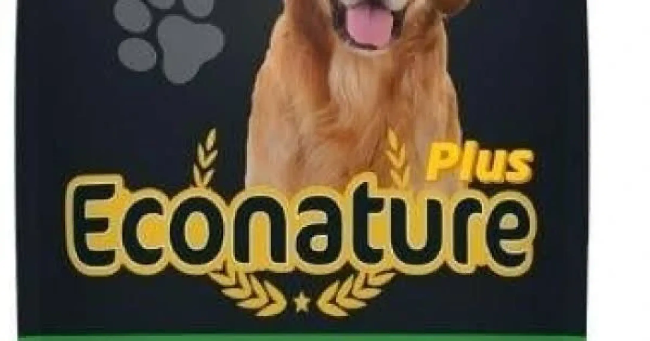 Econature Plus Kuzu Etli Yetişkin Köpek Maması 15 kg