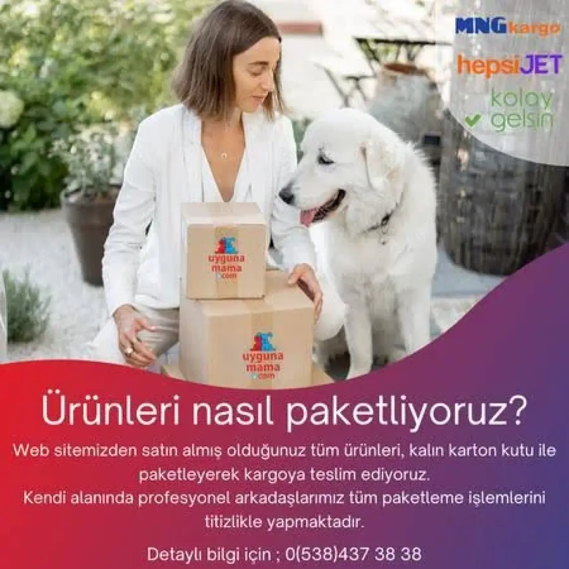 Econature Plus Kuzu Etli Yetişkin Köpek Maması 15 kg