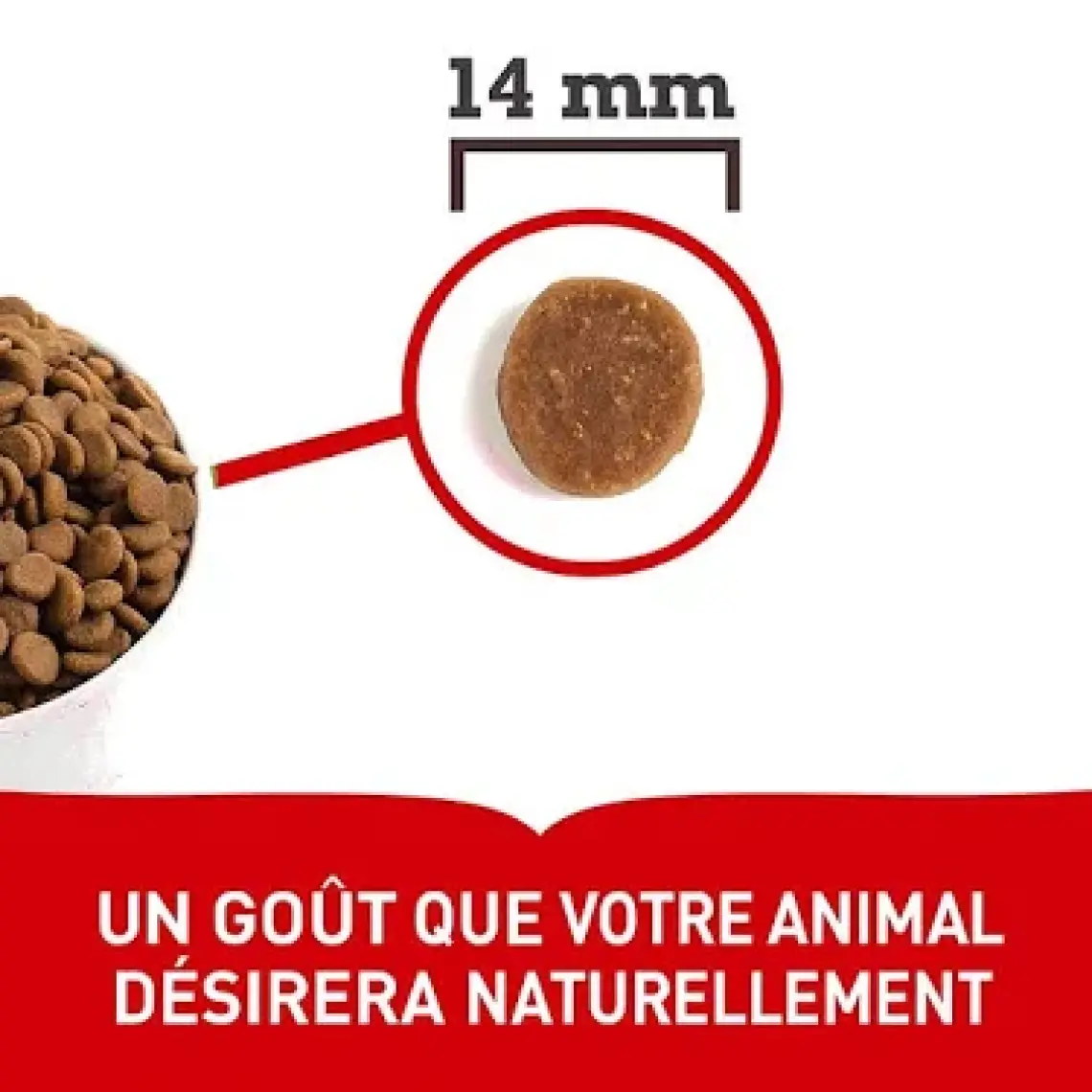 Acana Classics Red Meat Köpek Maması 2 Kg