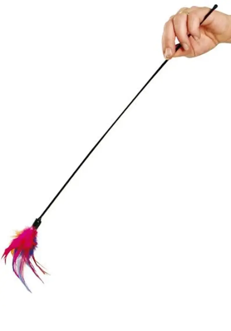 Karlıe Tüylü Kedi Oltası 59Cm