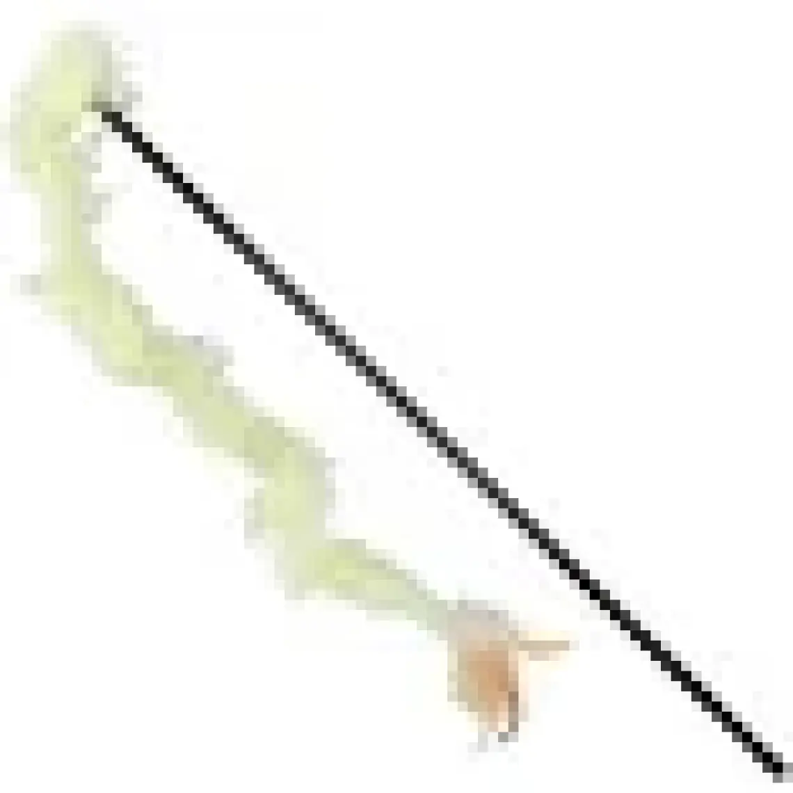 Trixie Kedi Oltası 48cm