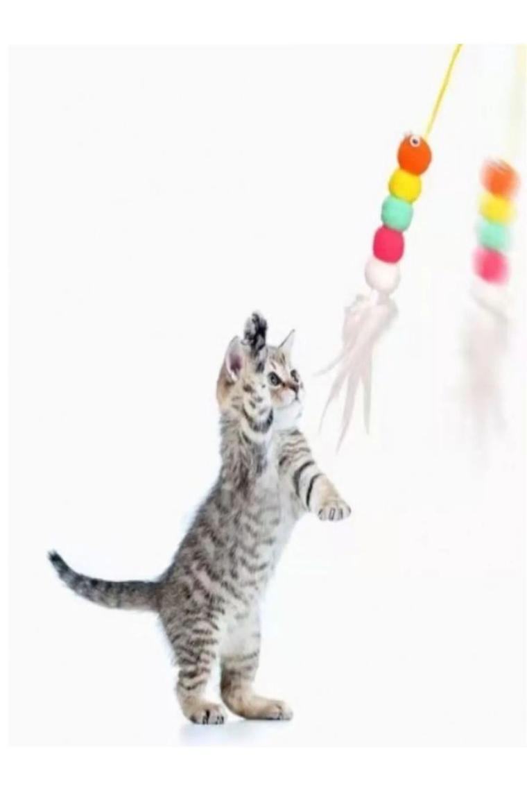 Elastik Yapışkanlı Kedi Oyun Oltası