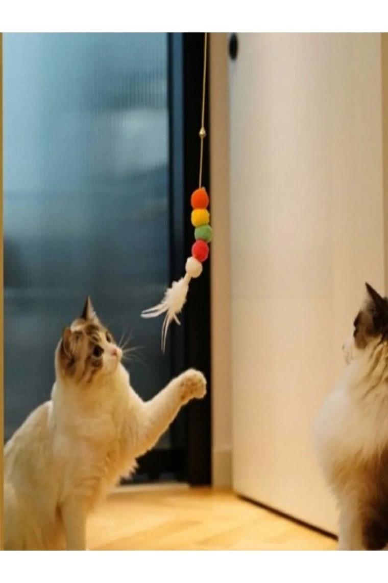 Elastik Yapışkanlı Kedi Oyun Oltası
