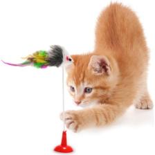 No Name Kedi Fare Oyuncağı Vantuzlu