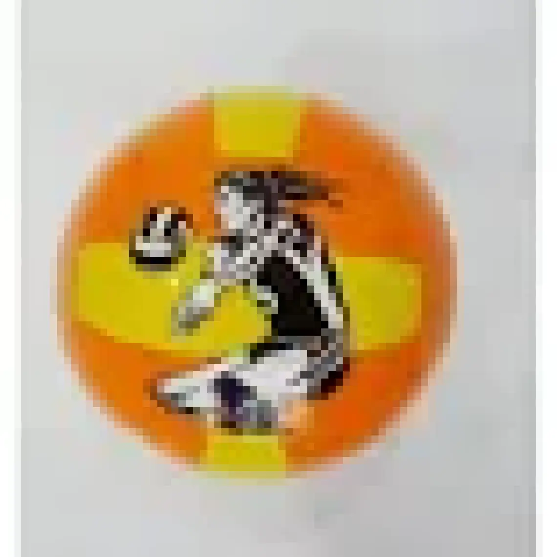 Can Voleybol Topu Kedi Oyuncağı