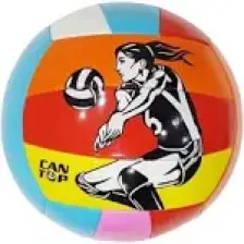 Can Voleybol Topu Kedi Oyuncağı