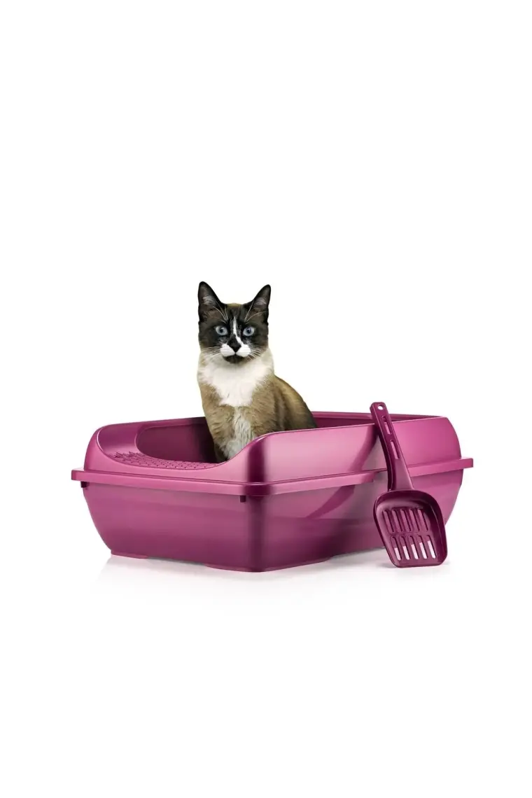 Milo Süzgeçlı Açık Kedi Tuvaleti Mor