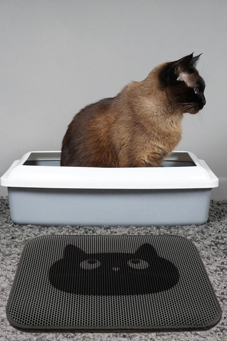 Simple Kedi Kumu Paspası Gri Elekli Tuvalet Önü Paspası