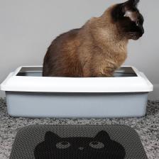 Simple Kedi Kumu Paspası Gri Elekli Tuvalet Önü Paspası