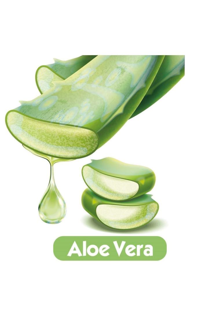 Softcare Aloe Vera Islak Bebek Havlusu 12x120 Adet