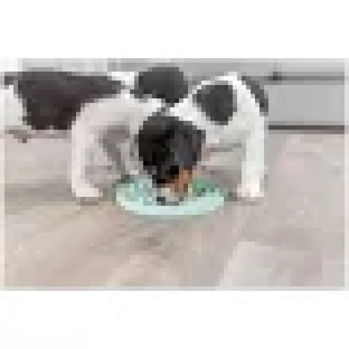 Trixie Yavru Köpek Oyuncağı, Yalama Tabağı ø15cm