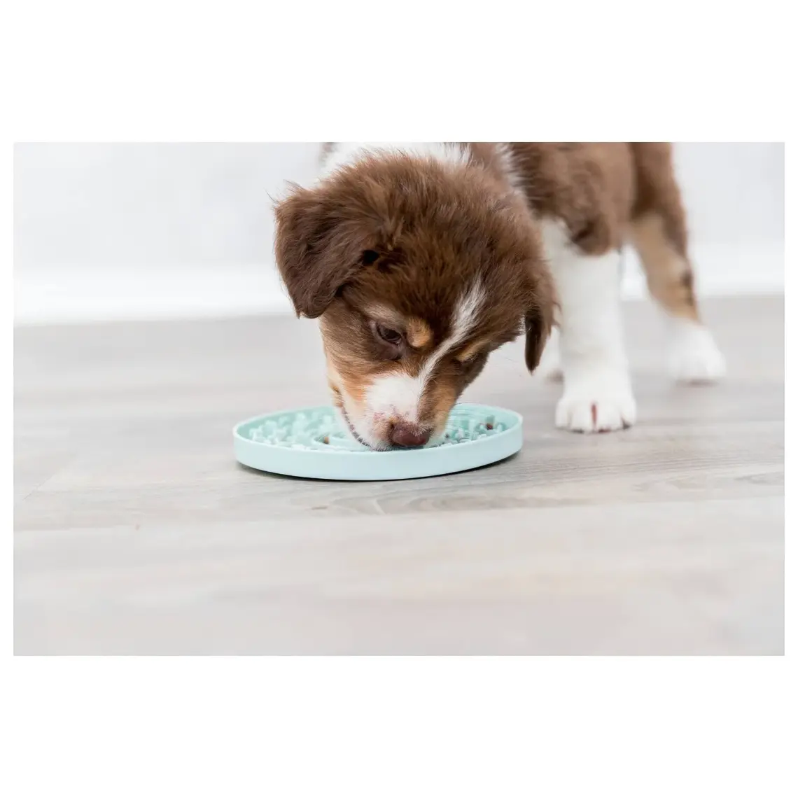 Trixie Yavru Köpek Oyuncağı, Yalama Tabağı ø15cm