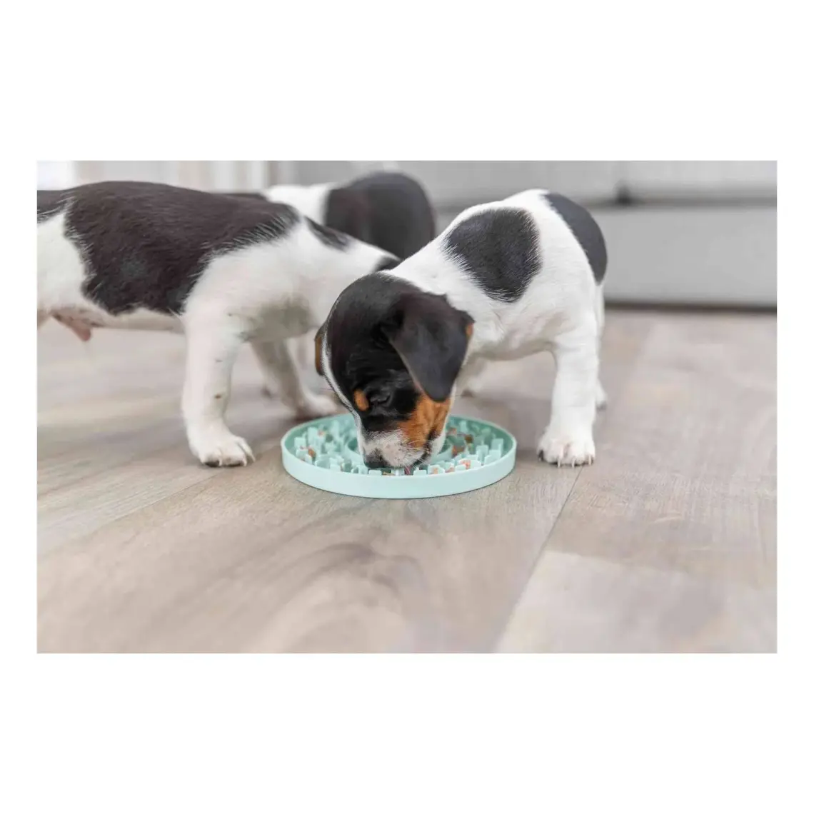 Trixie Yavru Köpek Oyuncağı, Yalama Tabağı ø15cm