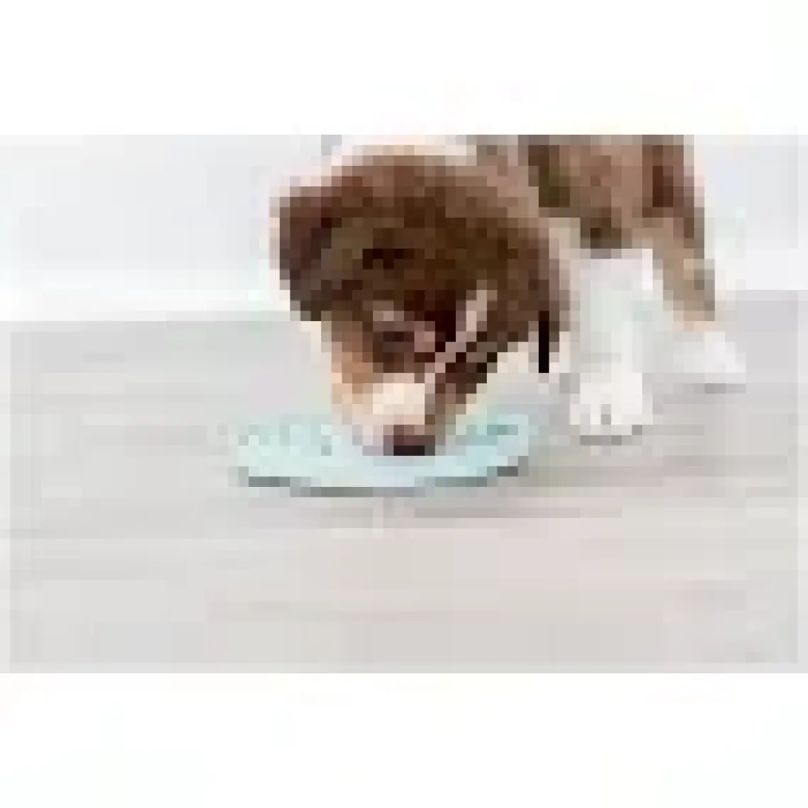 Trixie Yavru Köpek Oyuncağı, Yalama Tabağı ø15cm