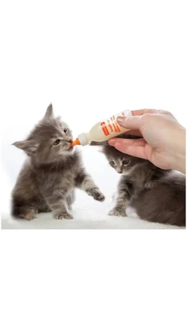Beaphar Lactol Kedi ve Küçük Irk Yavru Köpek Evcil Hayvan Biberon Seti