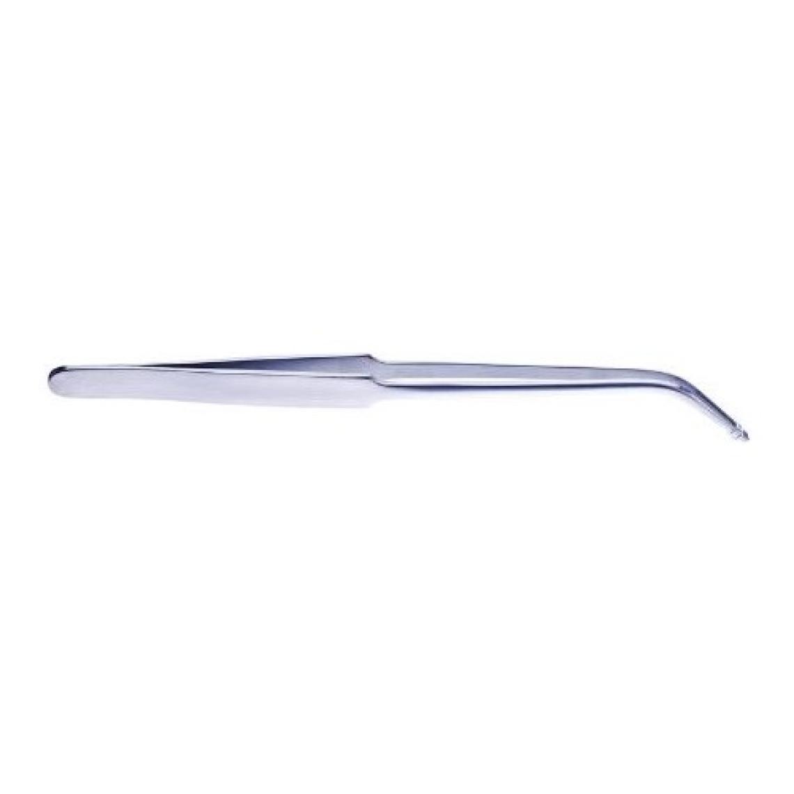 Ista Eğik Uçlu Bitki Maşası 30 cm