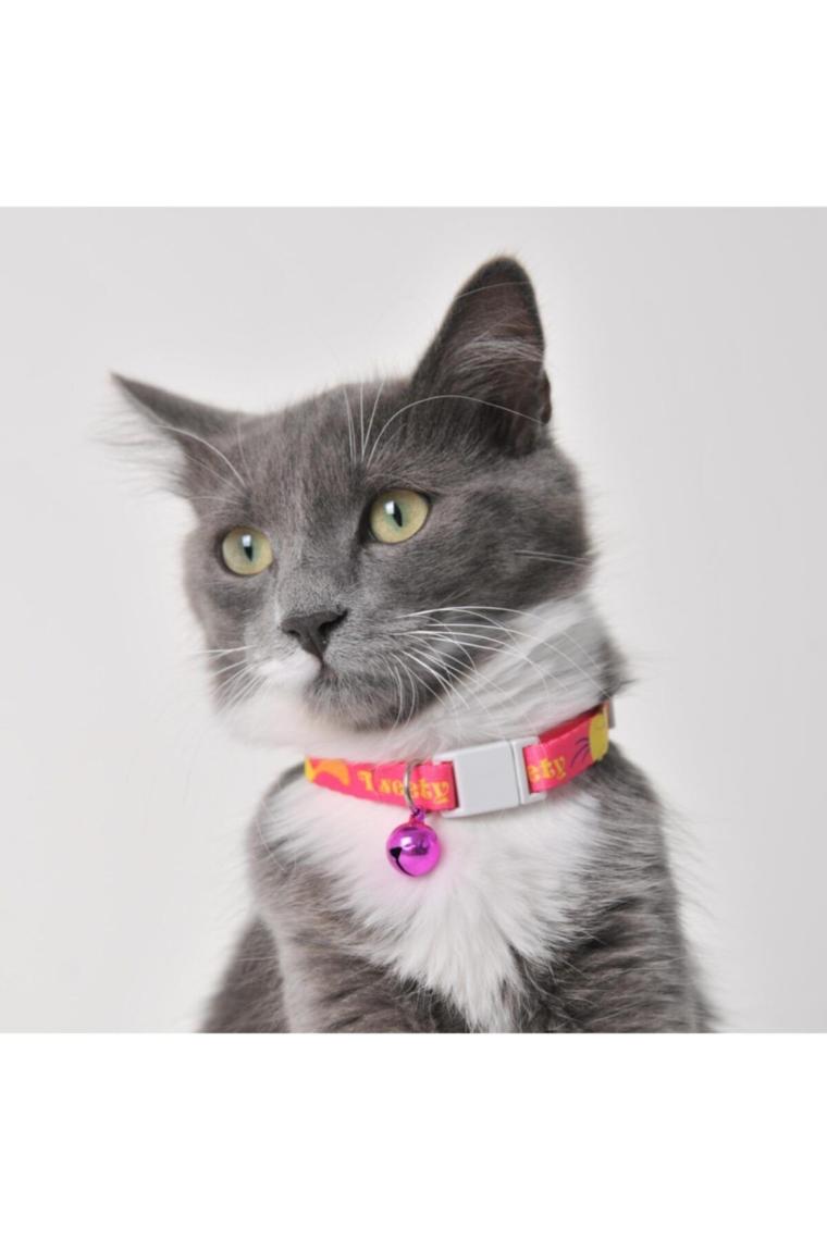 Boyun Tasması 1 Cm Pembe