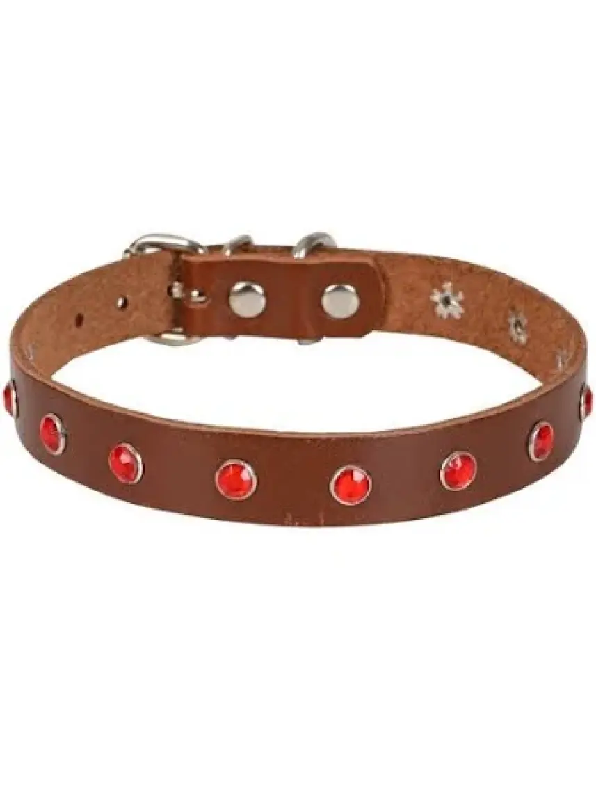 Doggie Taşlı Kahverengi Deri Boyun Tasması BKT 15