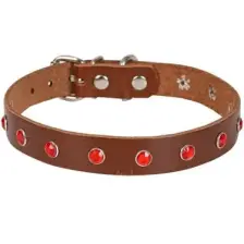 Doggie Taşlı Kahverengi Deri Boyun Tasması BKT 15