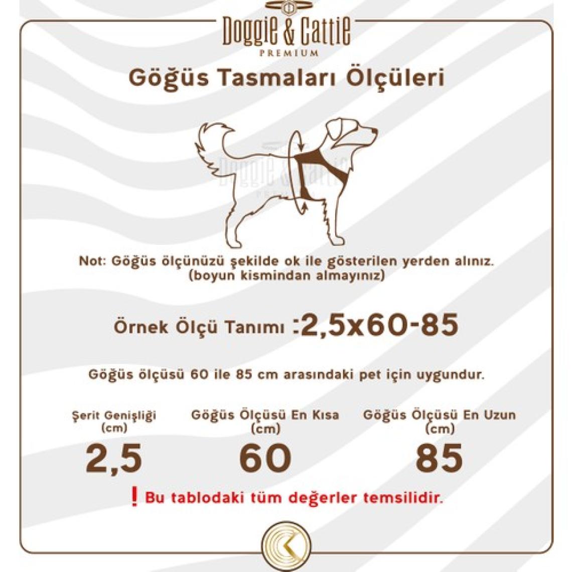 Cattie Hava Alan Dokumadan El Yapımı Kedi Göğüs & Gezdirme Takımı