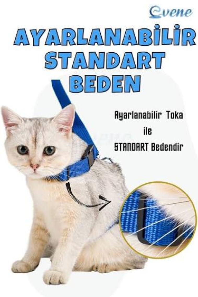 Evene Kedi Tasması Kedi Gögüs Bel Ayarlanabilir Tasma Xz2