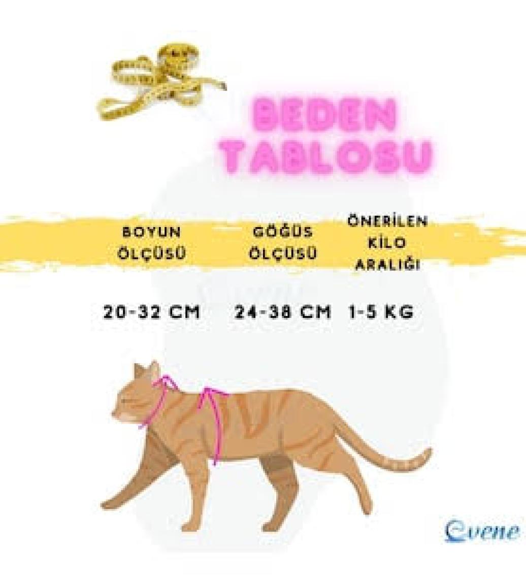 Evene Kedi Tasması Kedi Gögüs Bel Ayarlanabilir Tasma Xz2