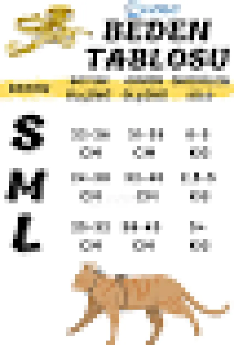 Evene Kedi Tasması Göğüs Boyun Tasma Seti Sevk Kayışlı Terletmeyen Nefes Alan Reflektörlü Tasma Gri S