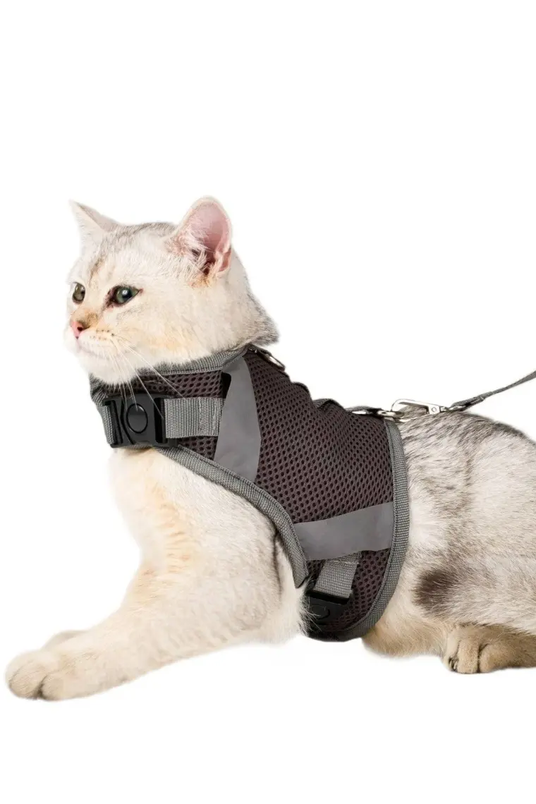 Evene Kedi Tasması Göğüs Boyun Tasma Seti Sevk Kayışlı Terletmeyen Nefes Alan Reflektörlü Tasma Gri S