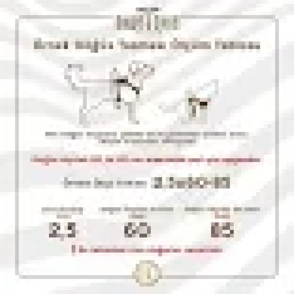 Cattie Kedi Göğüs ve Gezdirme Tasma Takımı Siyah 1x25-40 Cm