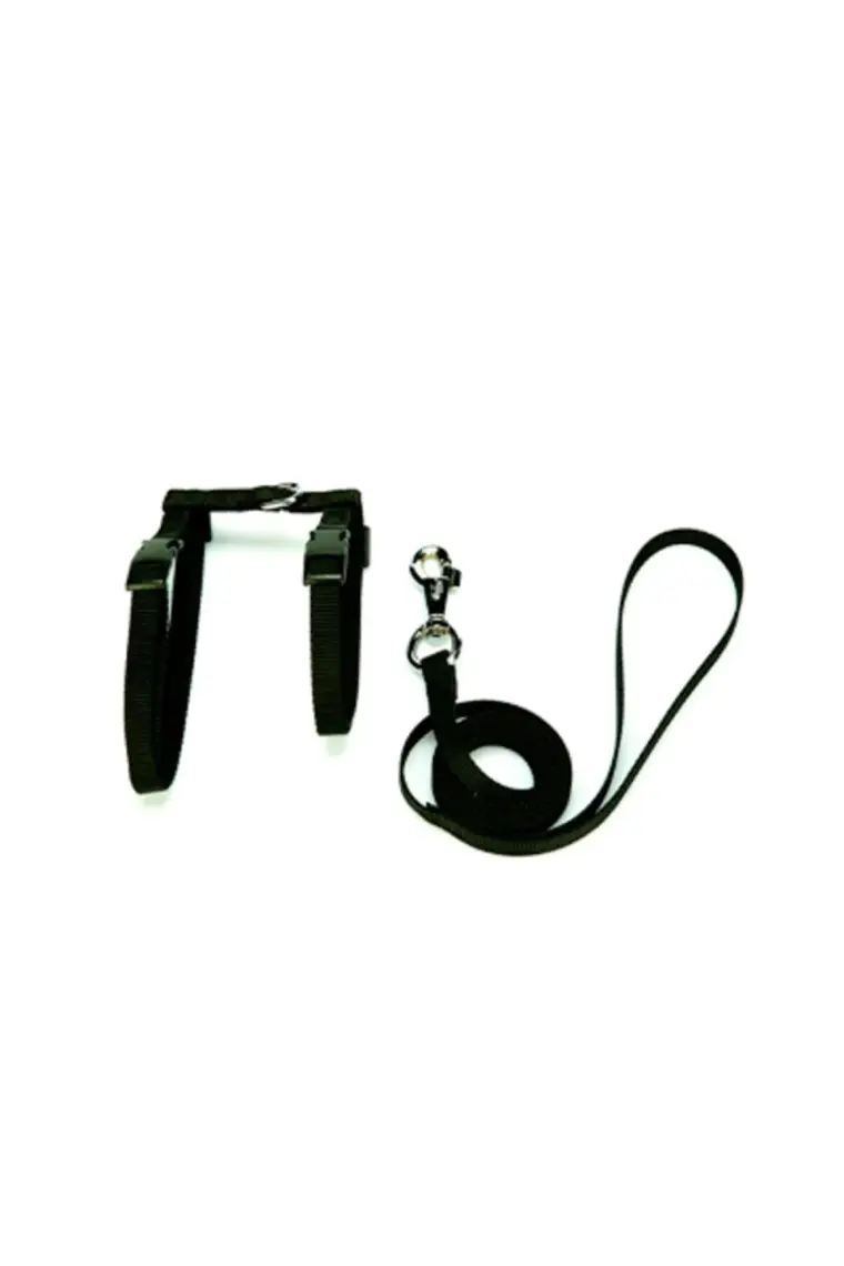 Cattie Kedi Göğüs ve Gezdirme Tasma Takımı Siyah 1x25-40 Cm