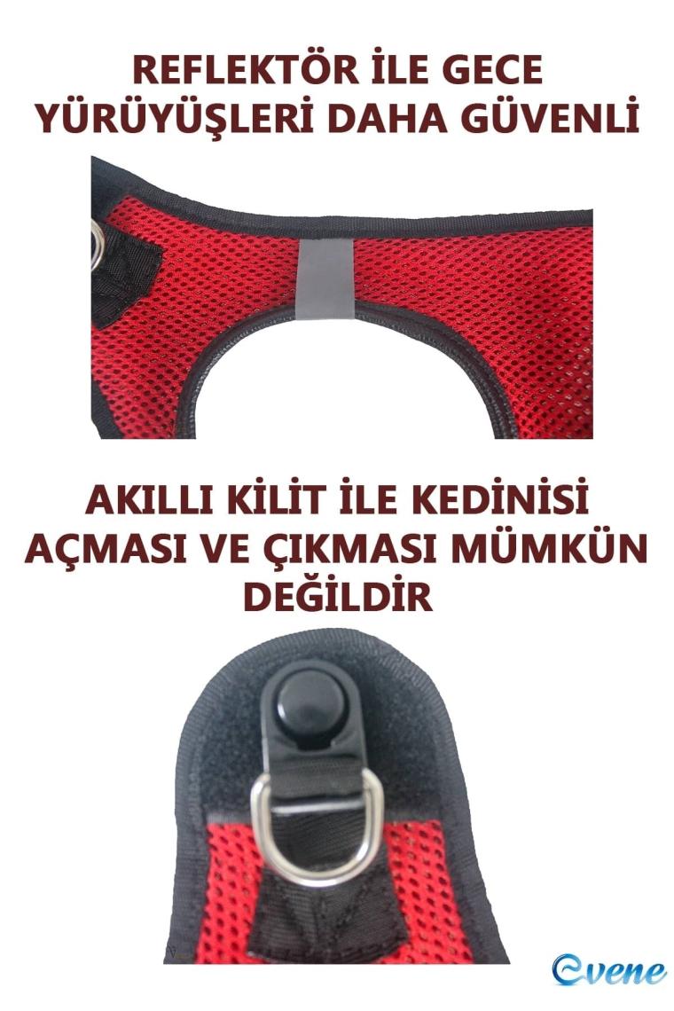 Mor Kedi Tasması L Beden Göğüs Boyun Tasma Seti Sevk Kayışlı Terletmeyen Nefes Alan Kumaş Reflektörl