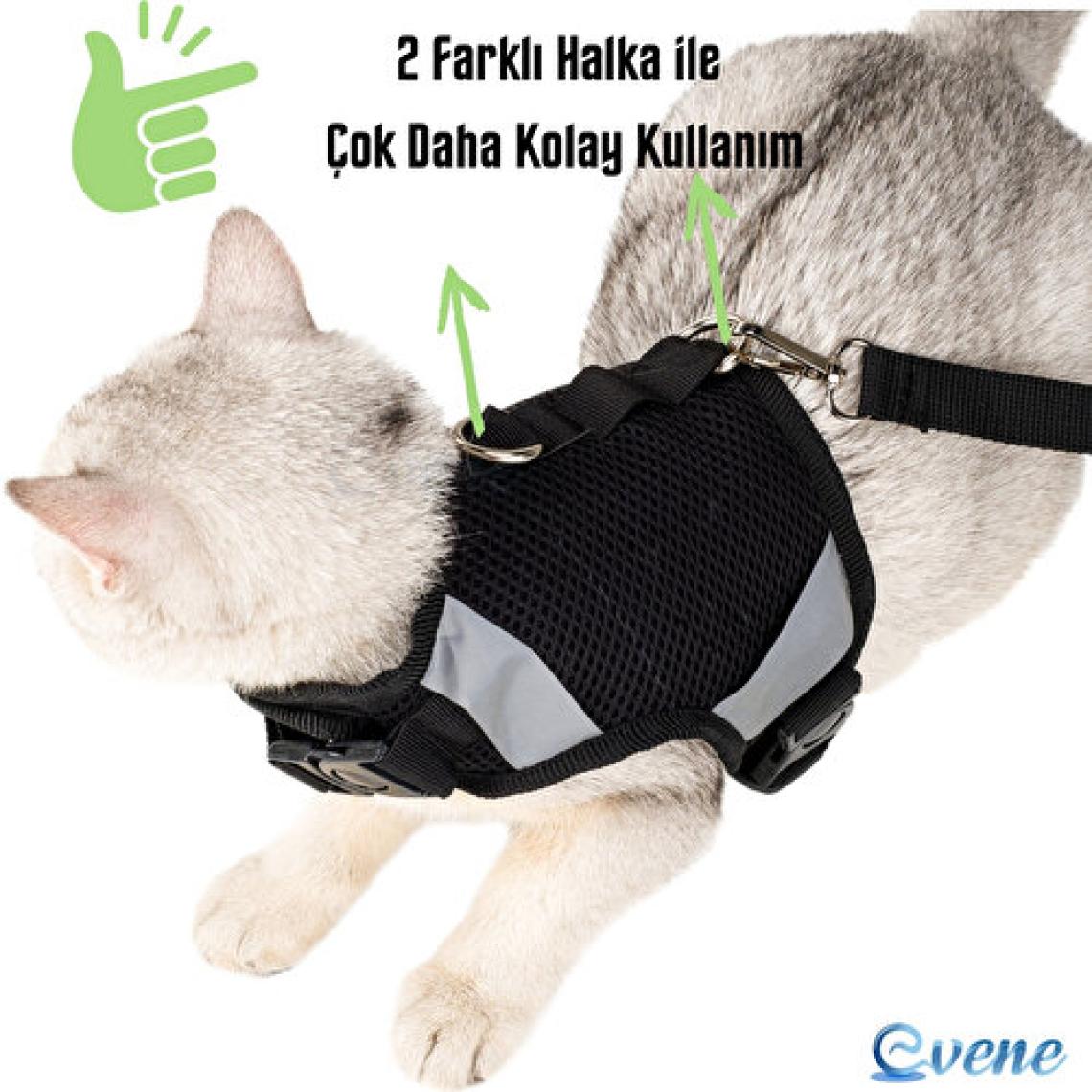 Evene Medium Sevk Kayışlı Reflektörlü Göğüs Boyun Kedi Tasması - Siyah