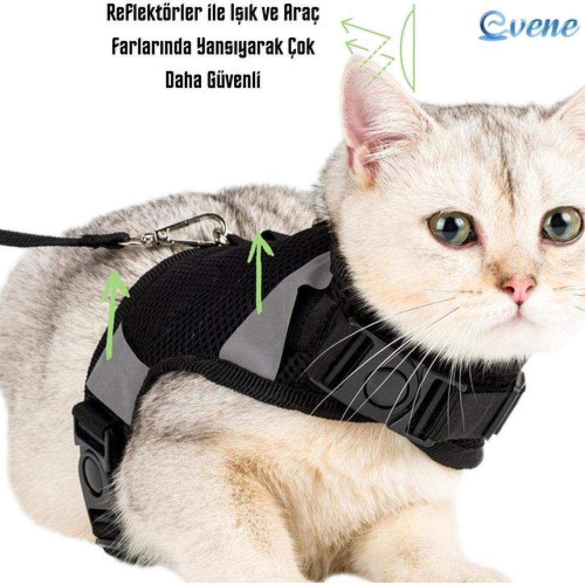 Evene Medium Sevk Kayışlı Reflektörlü Göğüs Boyun Kedi Tasması - Siyah