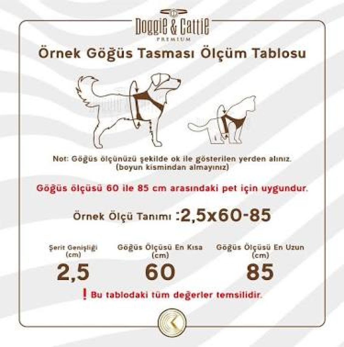 Cattie Hava Alan Dokumadan El Yapımı Kedi Göğüs & Gezdirme Takımı